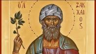 Embedded thumbnail for 2025.02.02. Zacchaeus Sunday. Sermon by Priest Damian Dantinne