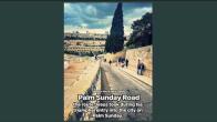 Embedded thumbnail for 2026.04.05. The Hosanna Road: Geography and Archetype. Sermon by Archpriest David Pratt